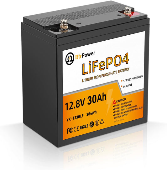 BtrPower 12V 30AH LiFePO4 Battery for RV,Solar System,Trolling motor with 30A BMS