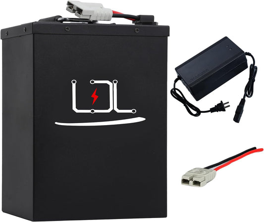 60V Ebike Battery 40Ah Lithium LiFePO4 Battery with 50A BMS for 0-3000W Electric Bike Scooter