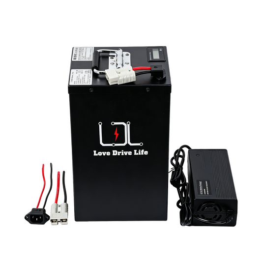 60V Ebike Battery 30Ah Lithium LiFePO4 30A BMS for 0-1800W Electric Bike Scooter Metal case battery with battery level display