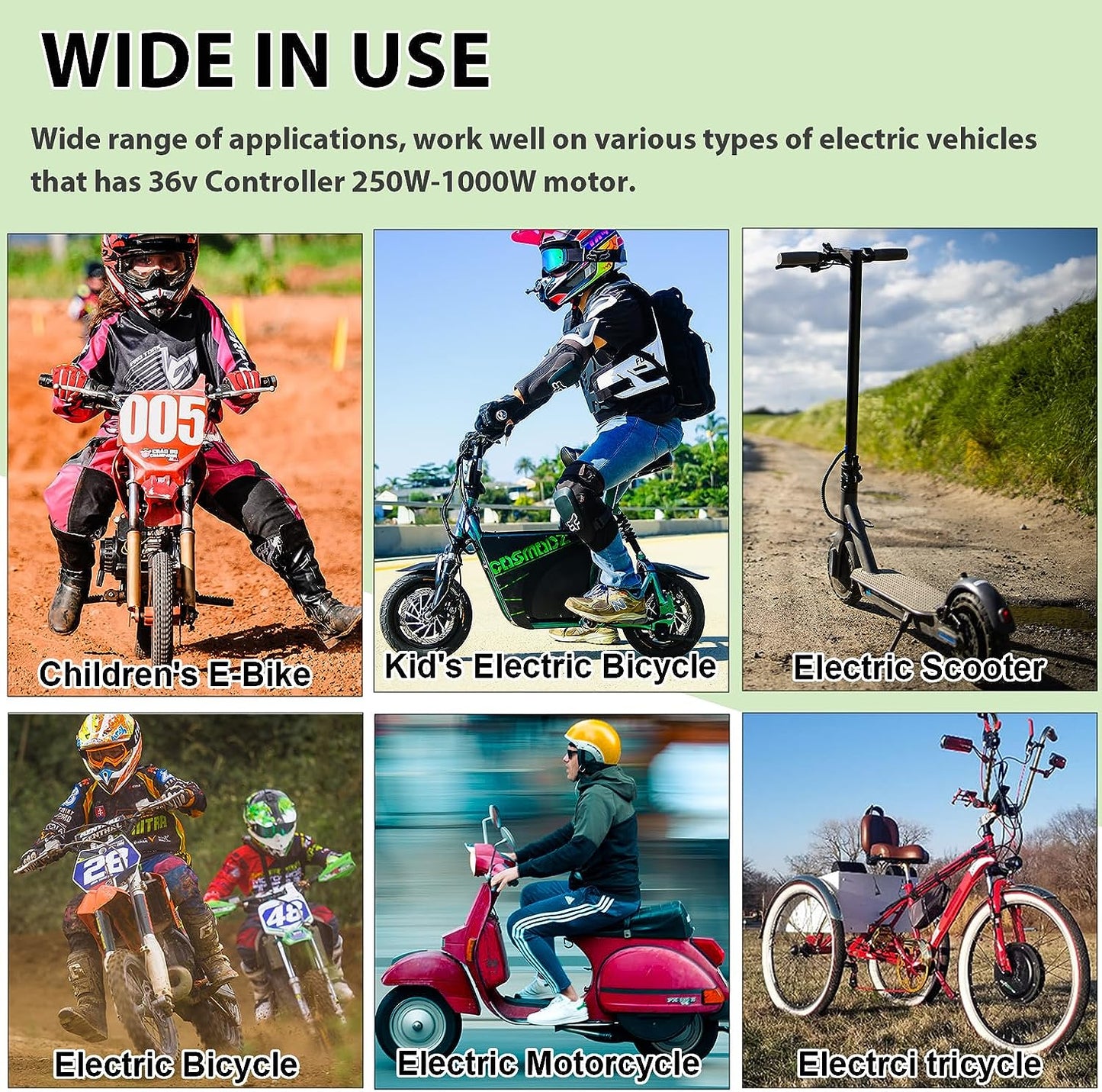 36v 20Ah Lifepo4 Battery Pack for 750W Ebike Electric Bike Scooter with Charger