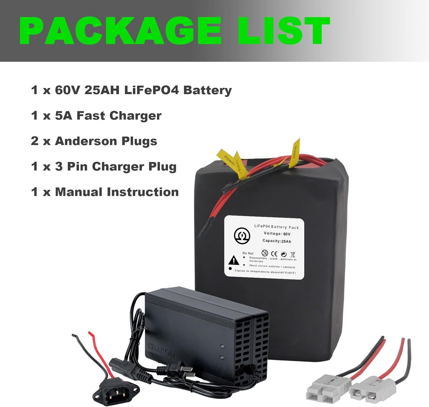 Electric Bike Ebike 60V 25Ah LiFePO4 Battery Pack for 250-2500W Trike Motor 50A BMS