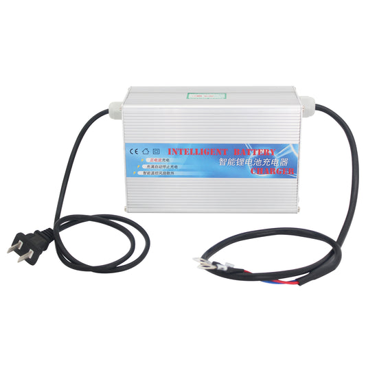 BtrPower 14.6V 20A Charger for 12V LiFePO4 Battery