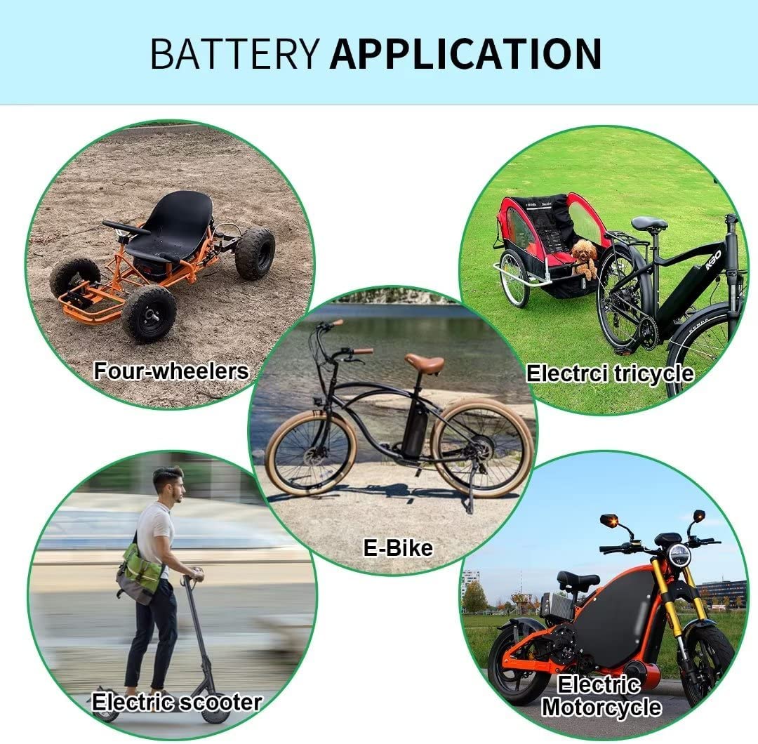 Batería Ebike 48V 40AH LiFePO4 Batería con cargador 5A, 50A BMS