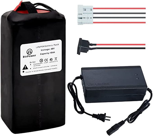 48v 18Ah Lifepo4 Ebike Battery Pack for 1000W Electric Bike Scooter with Charger