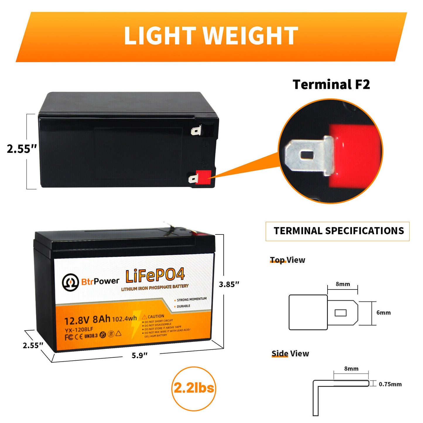 BtrPower LiFePO4 12V 8AH Deep Cycle Lithium Battery Rechargeable for RV Boat Solar Home