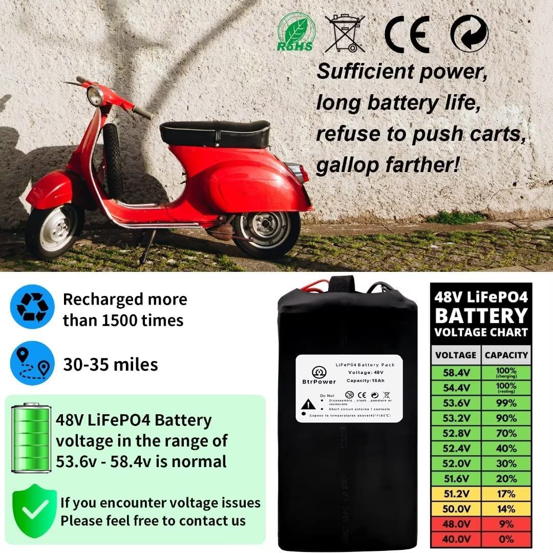 48v 18Ah Lifepo4 Ebike Battery Pack for 1000W Electric Bike Scooter with Charger