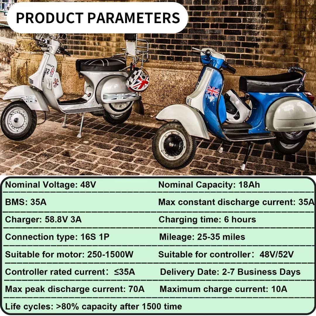 48v 18Ah Lifepo4 Ebike Battery Pack for 1000W Electric Bike Scooter with Charger