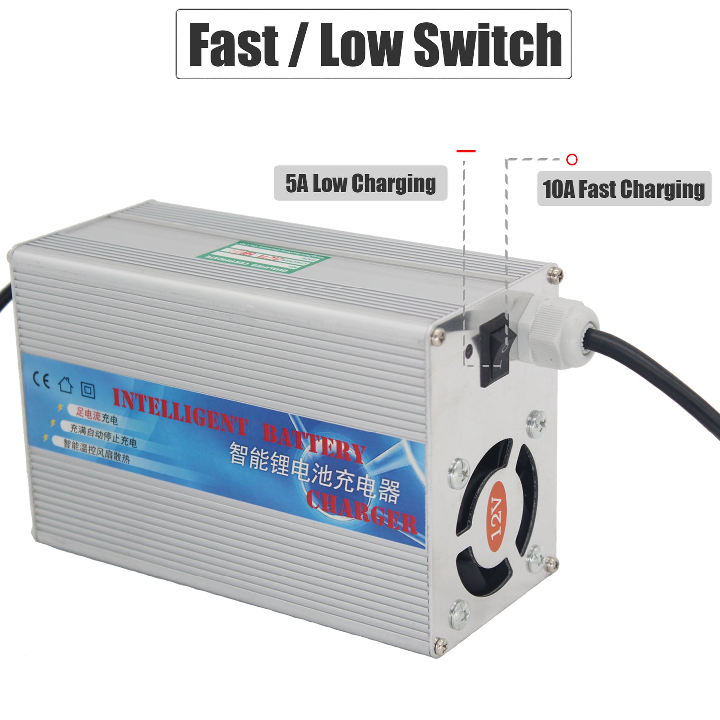 BtrPower 14.6V 10A Charger for 12V LiFePO4 Battery