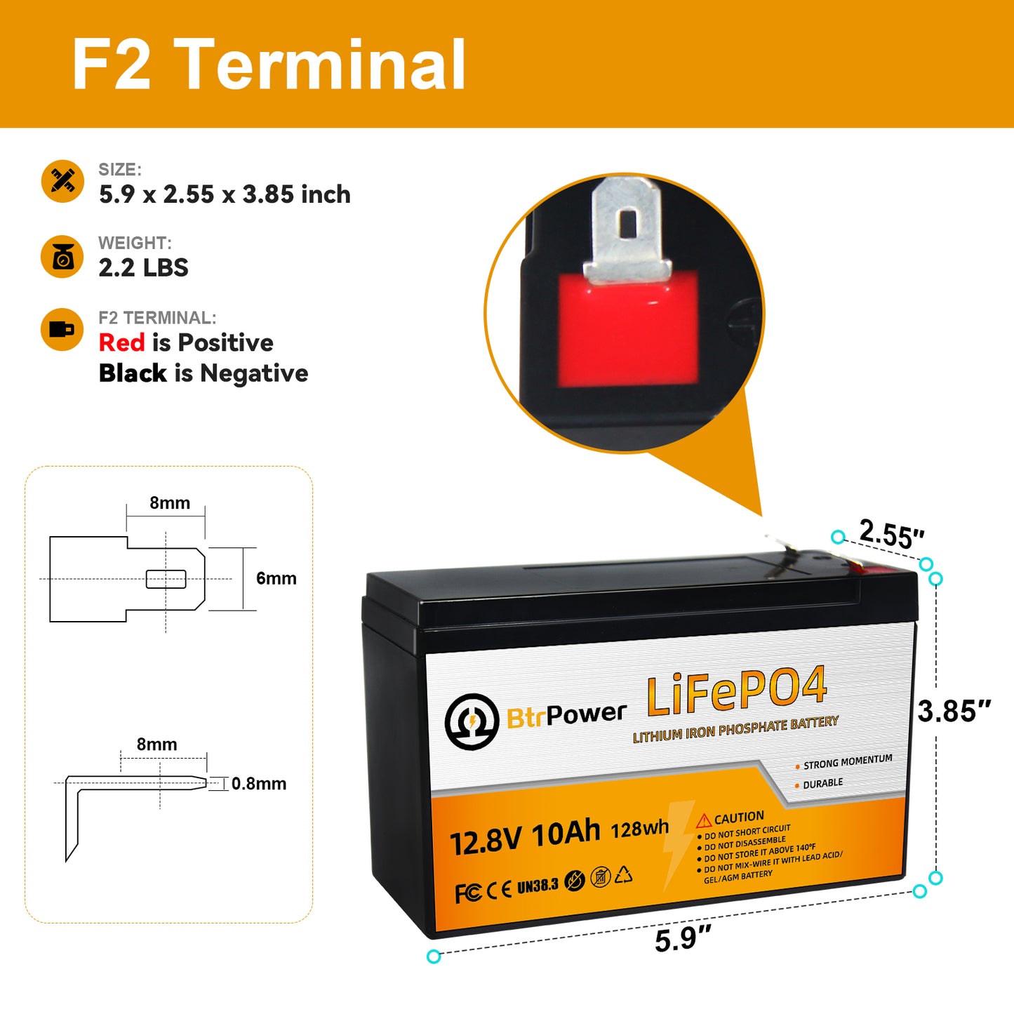 BtrPower LiFePO4 12V 10AH Deep Cycle Lithium Battery Rechargeable for RV Boat Solar Home