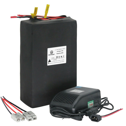 BtrPower Ebike Battery 48V 50AH Li-ion Battery Pack with 5A Charger, 50A BMS