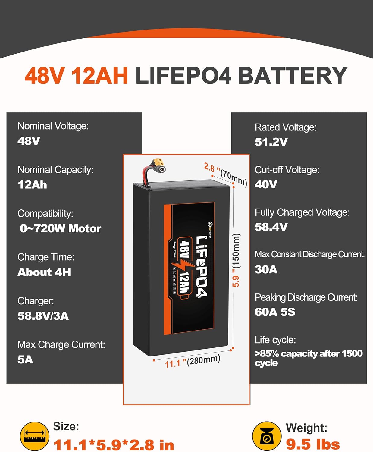 BtrPower Ebike Battery 48V 12AH LiFePo4 Battery Pack for Electric Bike Scooter with 3A Charger, 30A BMS