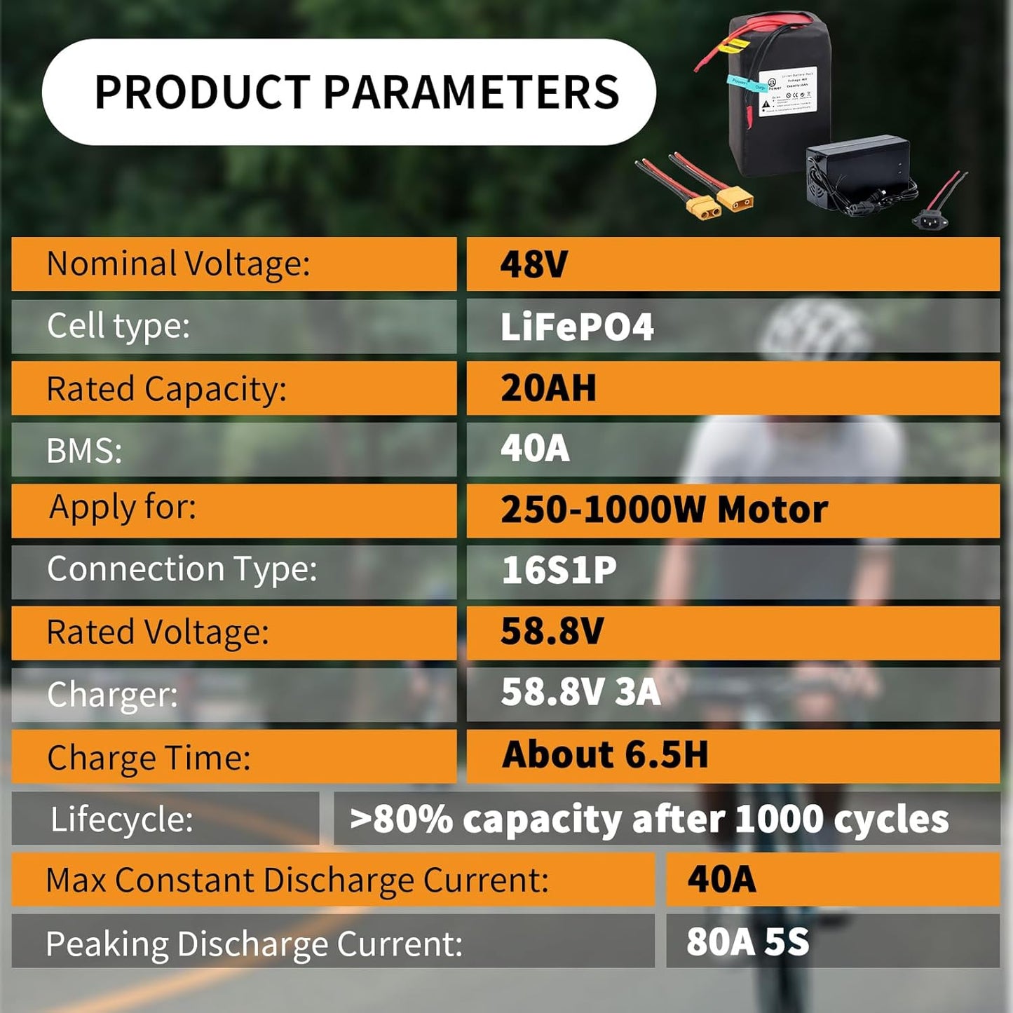 BtrPower Ebike Battery 48V 20AH LiFePO4 Battery Pack with 3A Charger,40A BMS