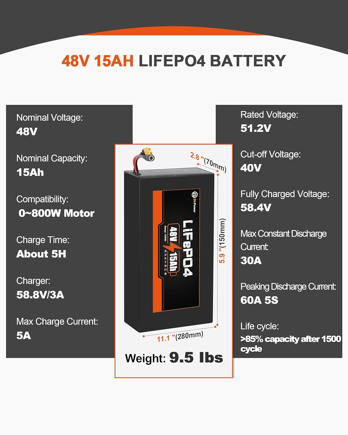 BtrPower Ebike Battery 48V 15AH LiFePo4 Battery Pack for Electric Bike Scooter with 3A Charger, 30A BMS