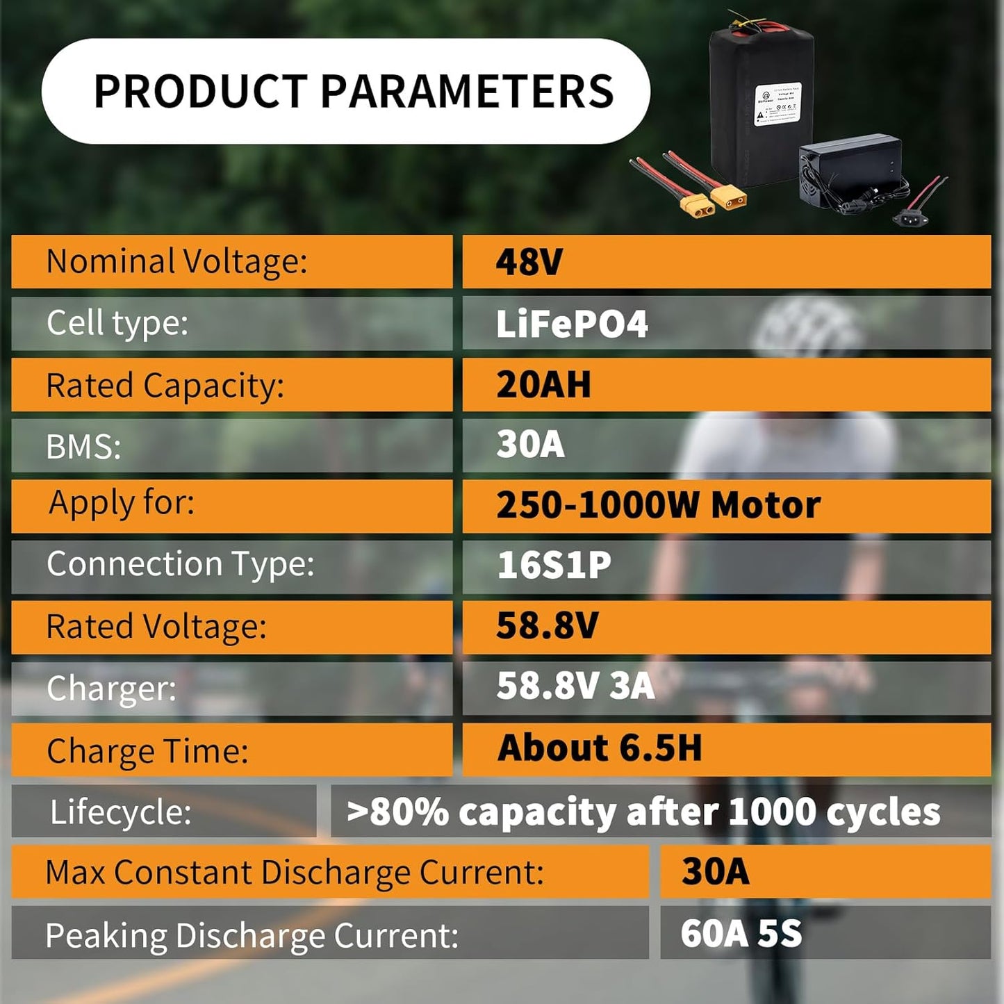 BtrPower Ebike Battery 48V 20AH LiFePO4 Battery Pack with 3A Charger,30A BMS