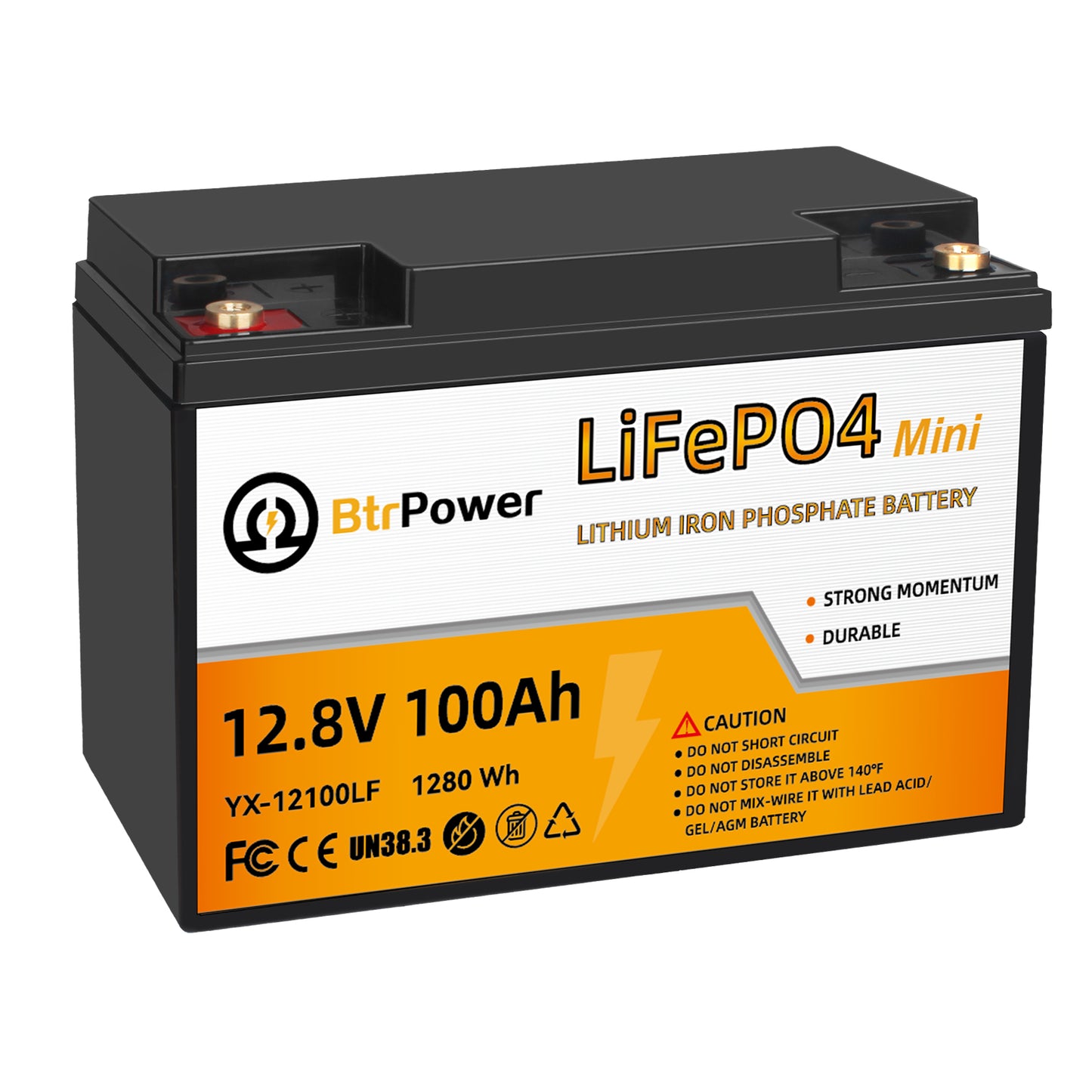 12V 100Ah Group 24 LiFePO4 Lithium Battery Built-In 100A BMS, 1280Wh Energy