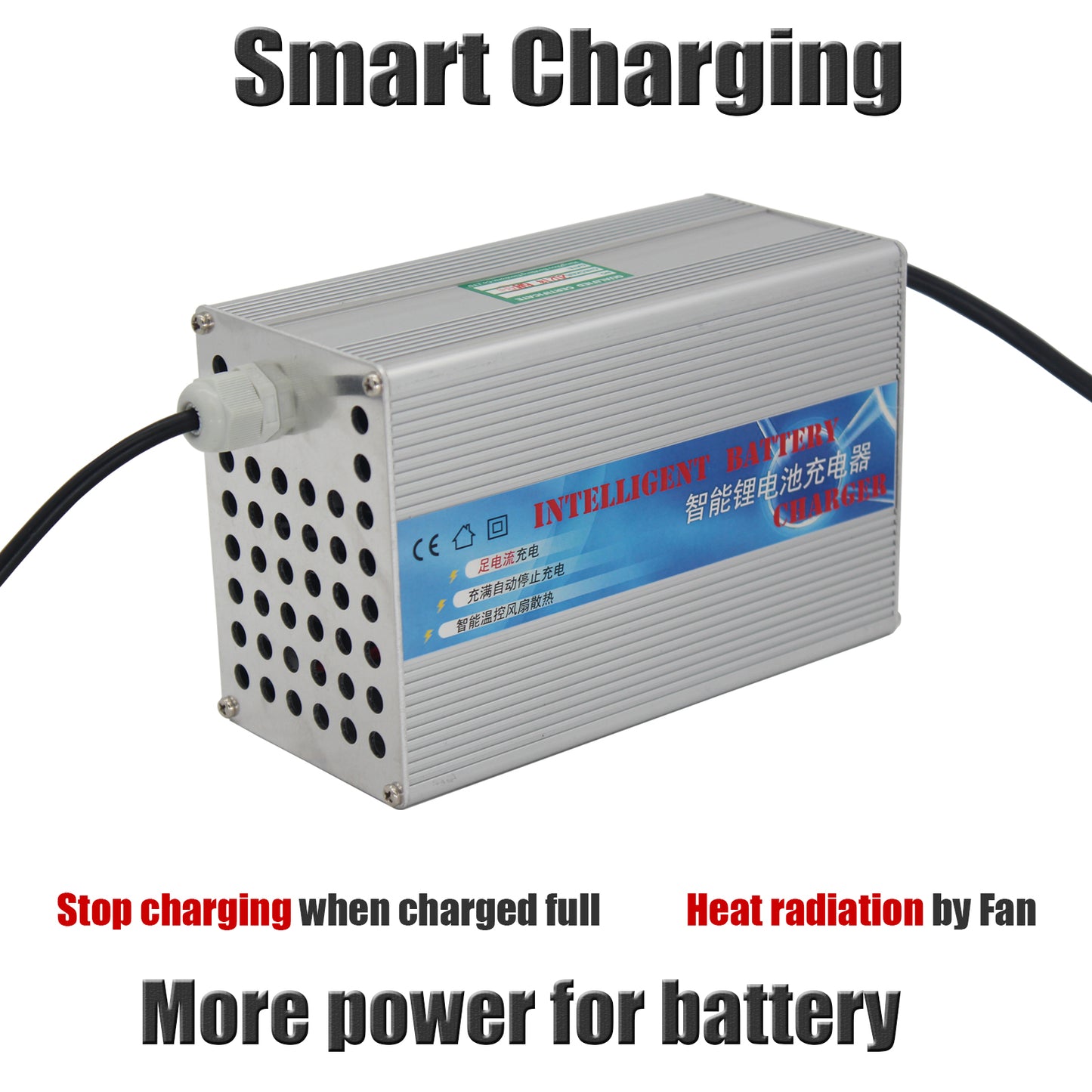 BtrPower 14.6V 10A Charger for 12V LiFePO4 Battery